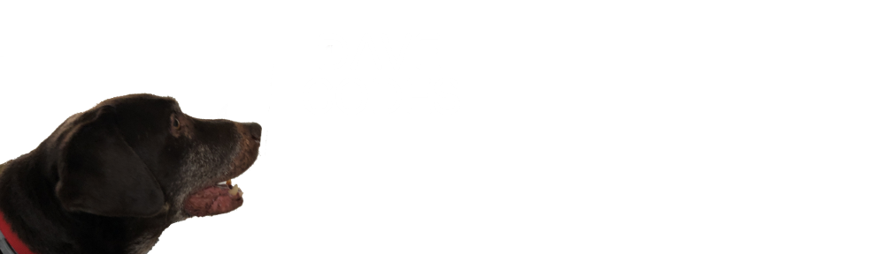 dave.codes